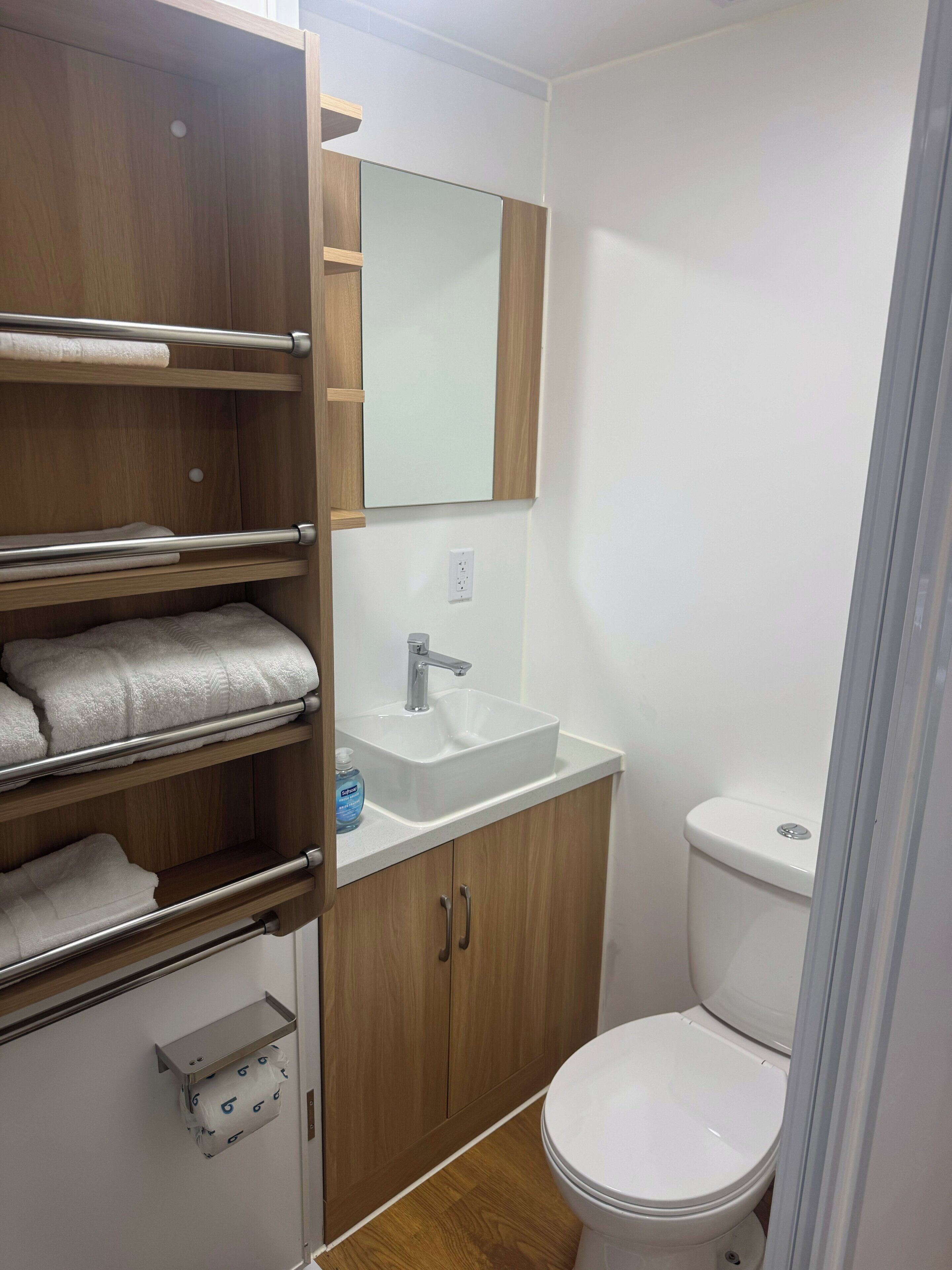 Shower, towels, soap, toilet paper