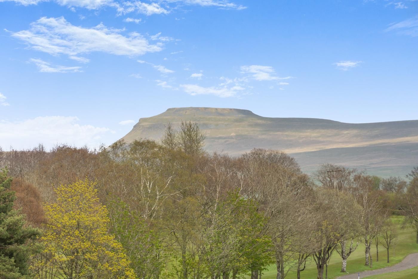 A landscape with a prominent hill, trees, and a clear sky.