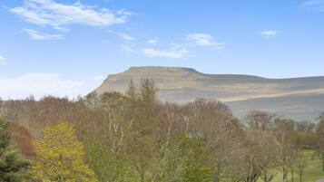 A landscape with a prominent hill, trees, and a clear sky.