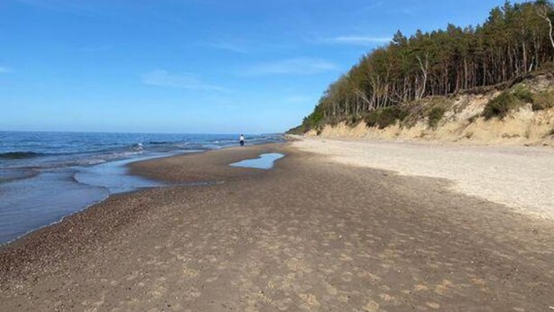 A beach with a clear sky, a person walking, and a forested area. - Large Apartment in Dziwnowek, Close to the sea (Dziwnów)