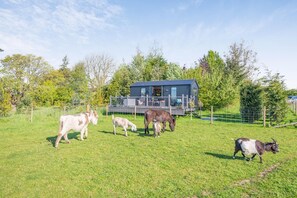 A farm with a blue house, a fenced area, and several cows grazing. - 1 Bed in Newall With Clifton (oc-t42700) (Newall With Clifton)