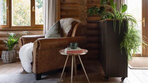 A cozy log cabin interior with a leather sofa, a small round table with books and a cup, and a large potted plant. - 2 Bed in Cretingham (oc-m42623) (Cretingham)