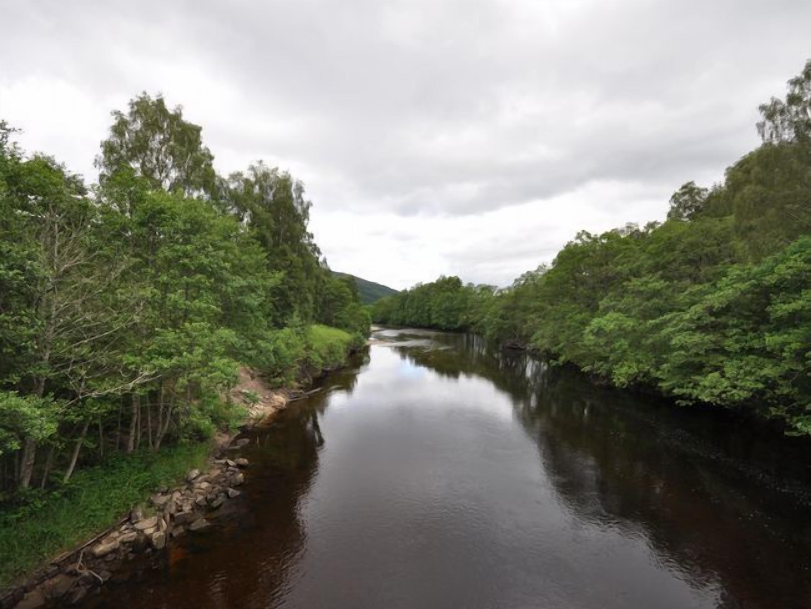 A river flanked by dense greenery, calm water, and a cloudy sky.