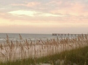 Beach - Vacay or Relocation Home | 3 min walk to beach (Neptune Beach)