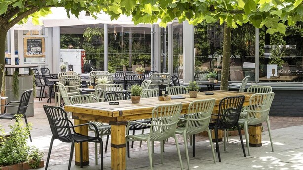 Un área de comedor al aire libre con una gran mesa de madera rodeada de sillas de mimbre, bajo un dosel de hojas verdes.
