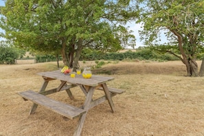 A picnic table with a fruit bowl and drinks, surrounded by dry grass and trees.