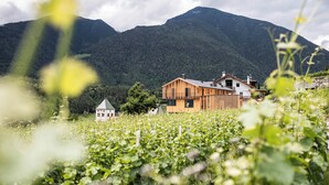 A modern house with a wooden facade, surrounded by a vineyard and mountains in the background. - Cozy vacation rental with a spacious loggia and a magnificent view (Trentino-Alto Adige)
