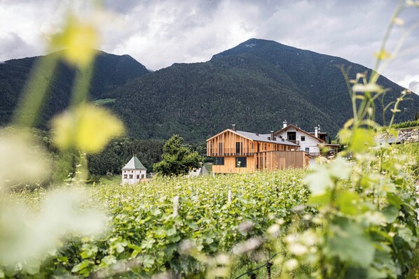 Exterior - Vrbo Property (Trentino-Alto Adige)
