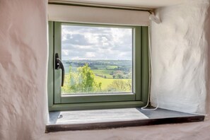 Finestra amb vista a un paisatge verd, una paret blanca i una manilla.
