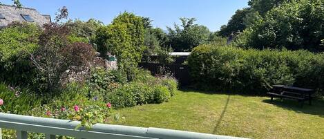 A well-maintained garden with a lawn, a wooden bench, and a variety of plants and trees.