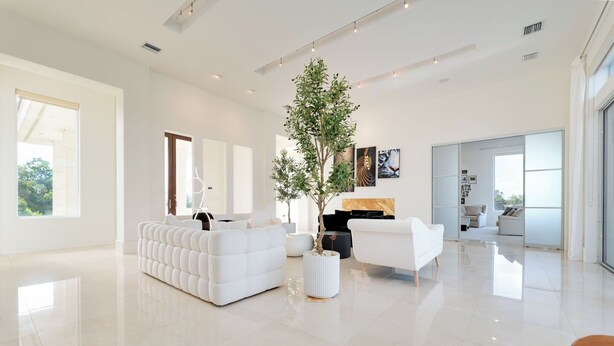 Un salon spacieux avec un canapé blanc, une table basse et un arbre en pot.