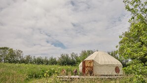 Une yourte se dresse dans un champ verdoyant, sous un ciel dégagé.