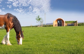 Property grounds - 1 Bed in Blairdrummond (oc-b37877) (Blair Drummond)