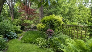 Un jardin luxuriant, avec une grande variété de plantes et une clôture en bois.