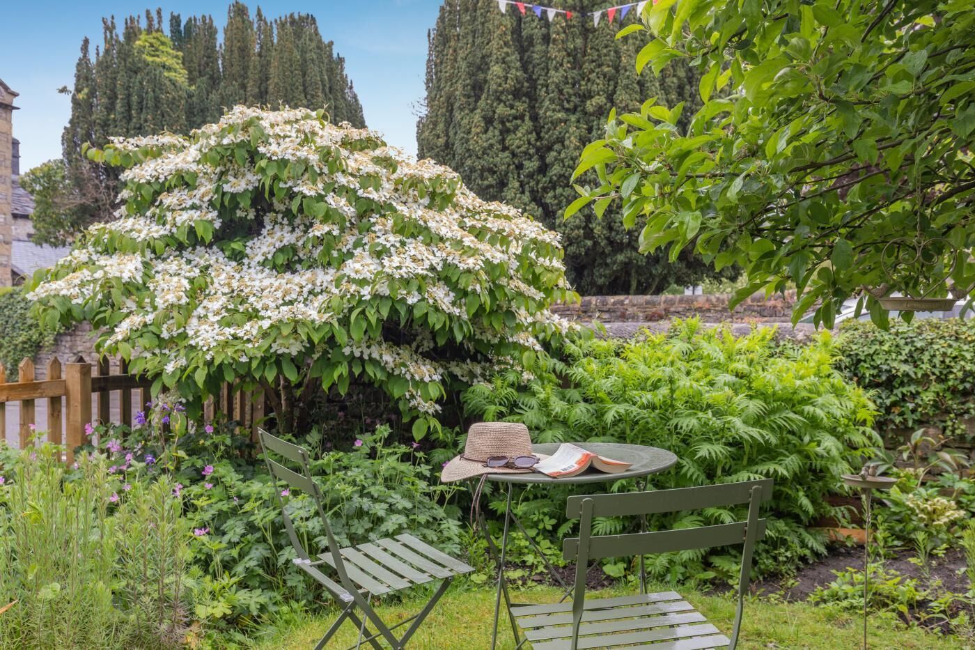 A garden with a table and chairs, surrounded by various plants and trees.