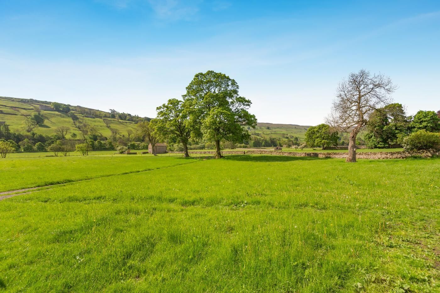 A rural landscape with green fields, trees, and a stone wall.