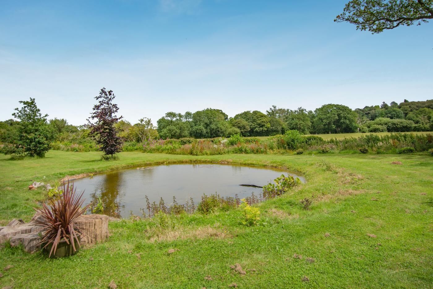 A natural landscape with a pond, grassy areas, and trees.