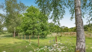 Ein grasbewachsenes Feld mit einem Baum und einem Zaun.