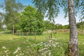 A grassy field with a tree and a fence.