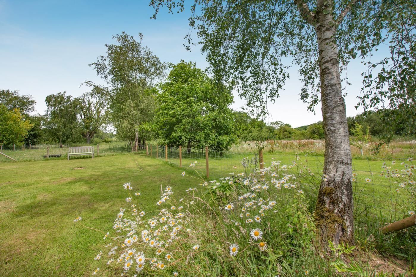 Eine Wiese mit Bäumen, einer Bank und Wildblumen.