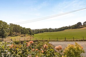 Property grounds - 3 Bed in Tywyn (oc-e43276) (Tywyn)