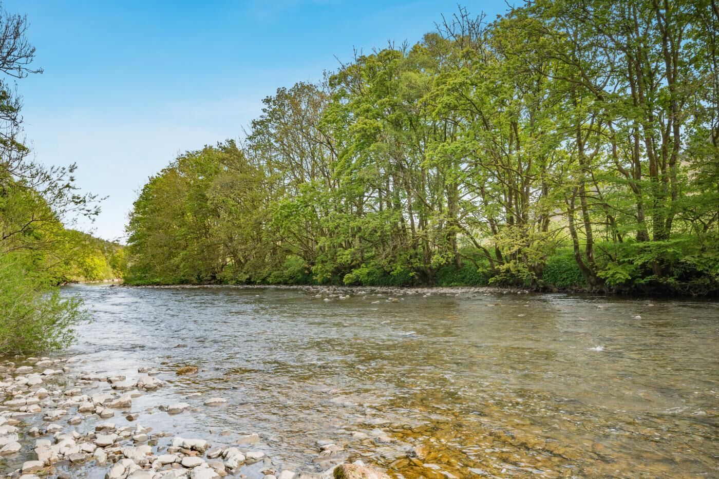 Ein Fluss mit klarem Wasser, umgeben von dichtem Grün.