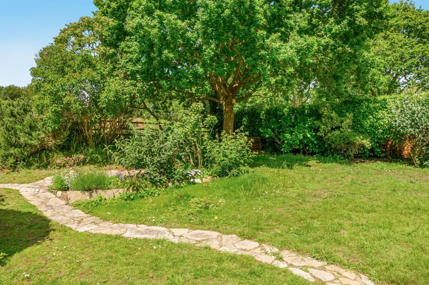 Ein gepflasterter Weg schlängelt sich durch einen üppigen Garten mit einem großen Baum und dichter Bepflanzung.