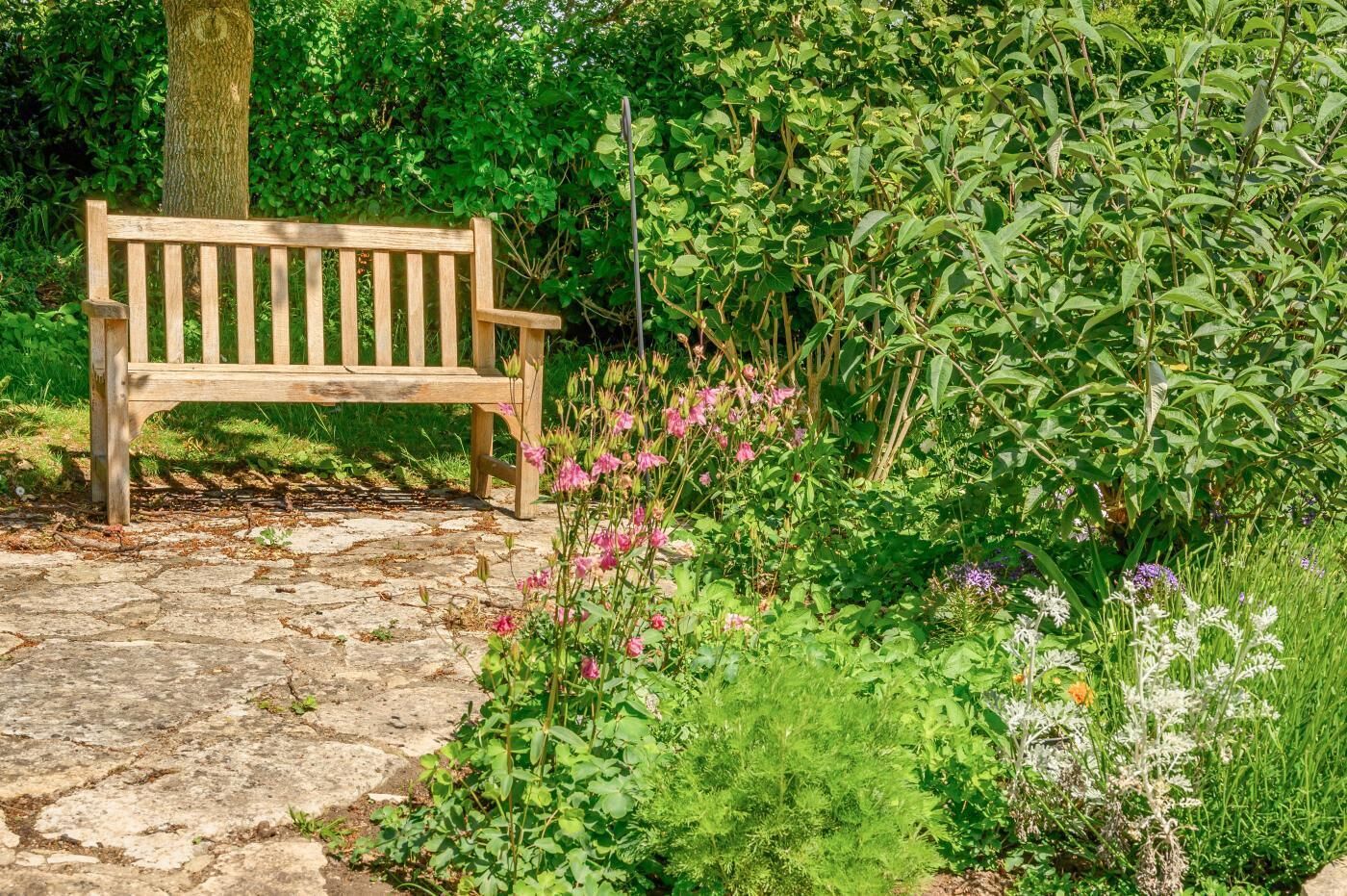 A wooden bench in a garden with stone paving, surrounded by various plants and flowers.