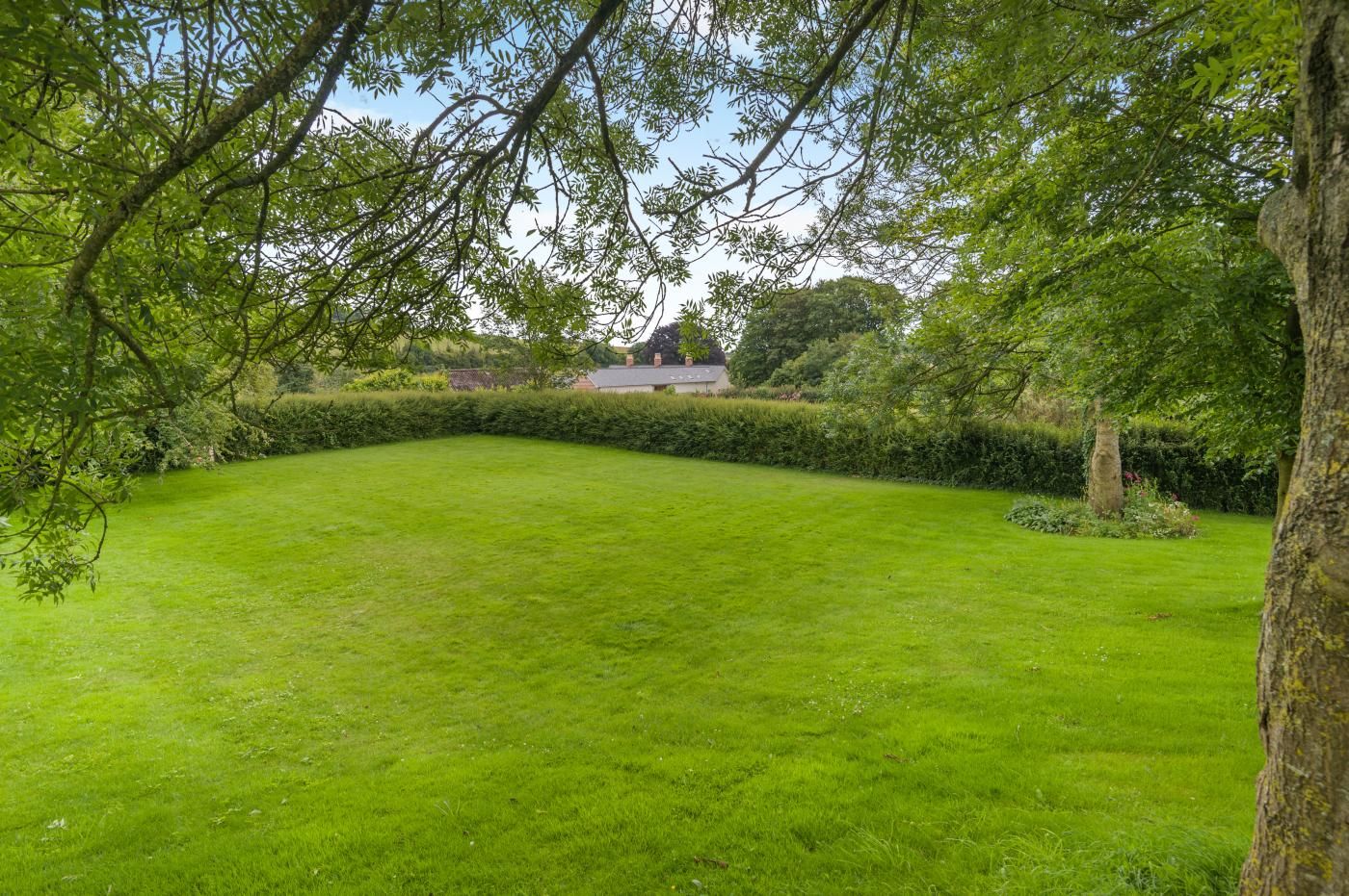 A well-maintained lawn with a hedge and trees in the foreground, leading to a building with a sloped roof in the background.