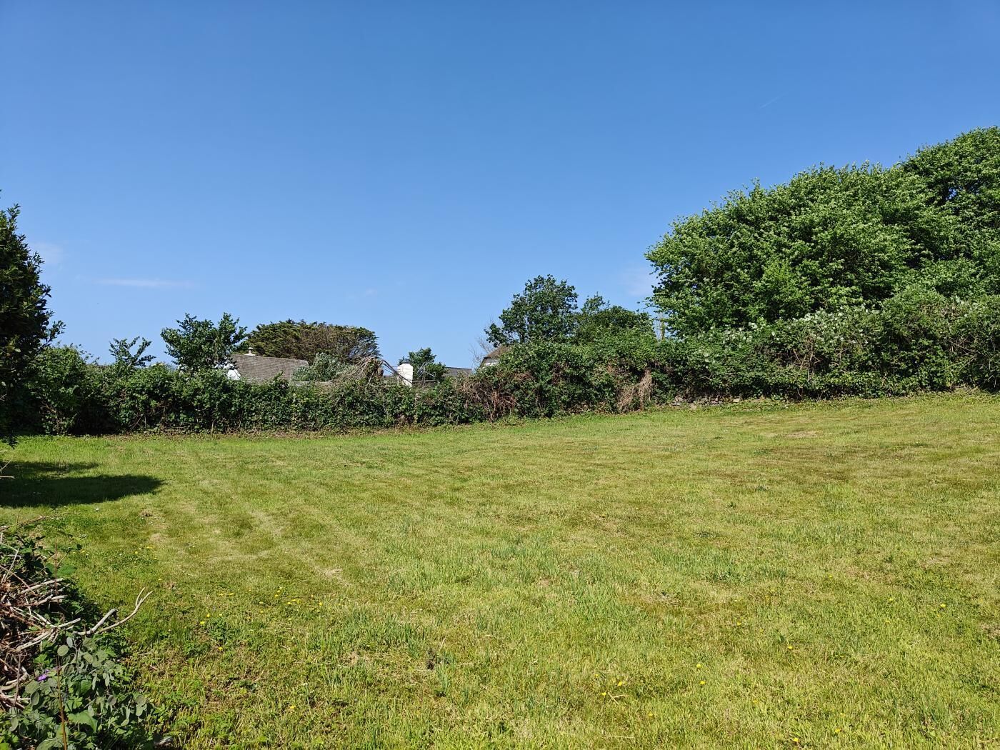 A grassy field with trees and a building in the background.