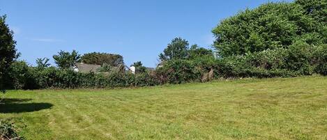 A grassy field with trees and a building in the background.
