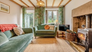 Een gezellige woonkamer met een open haard, een bank, een televisie en een raam met gordijnen.
