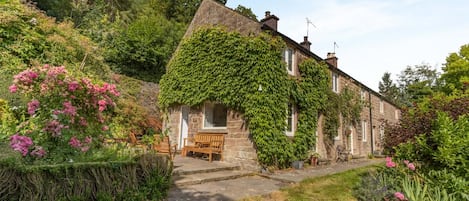 A stone house with ivy covering the walls, a wooden bench outside, and a garden with various plants and flowers.