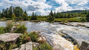 Een rivier met rotsen en begroeiing, omringd door bomen.