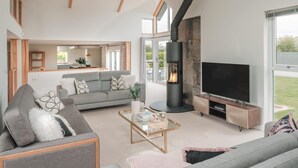 A modern living room with a fireplace, a television, and a sofa. - 5 Bed in St. Minver (oc-l50188) (Saint Minver)