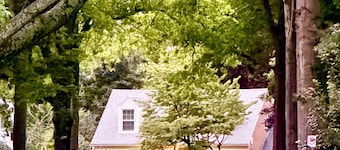 PSU 4BR/2Full Bath Home 1/4 Mile Walk to Campus, .7 miles to Beaver Stadium