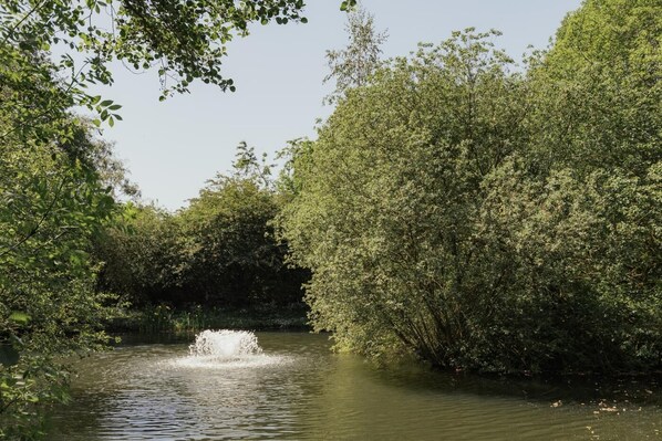A tranquil river with dense foliage on both sides.