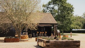Een rustieke schuur met een pannendak, omgeven door een grindpad met houten plantenbakken en een grote boom.
