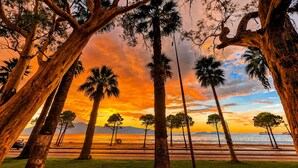 Escena de playa con palmeras y atardecer.