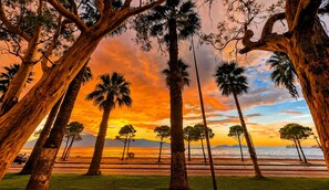 A beach scene with palm trees and a sunset. - Sunset Boulevard Rooms (Vlore)