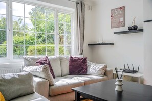 Fernseher, Arbeitsbereiche