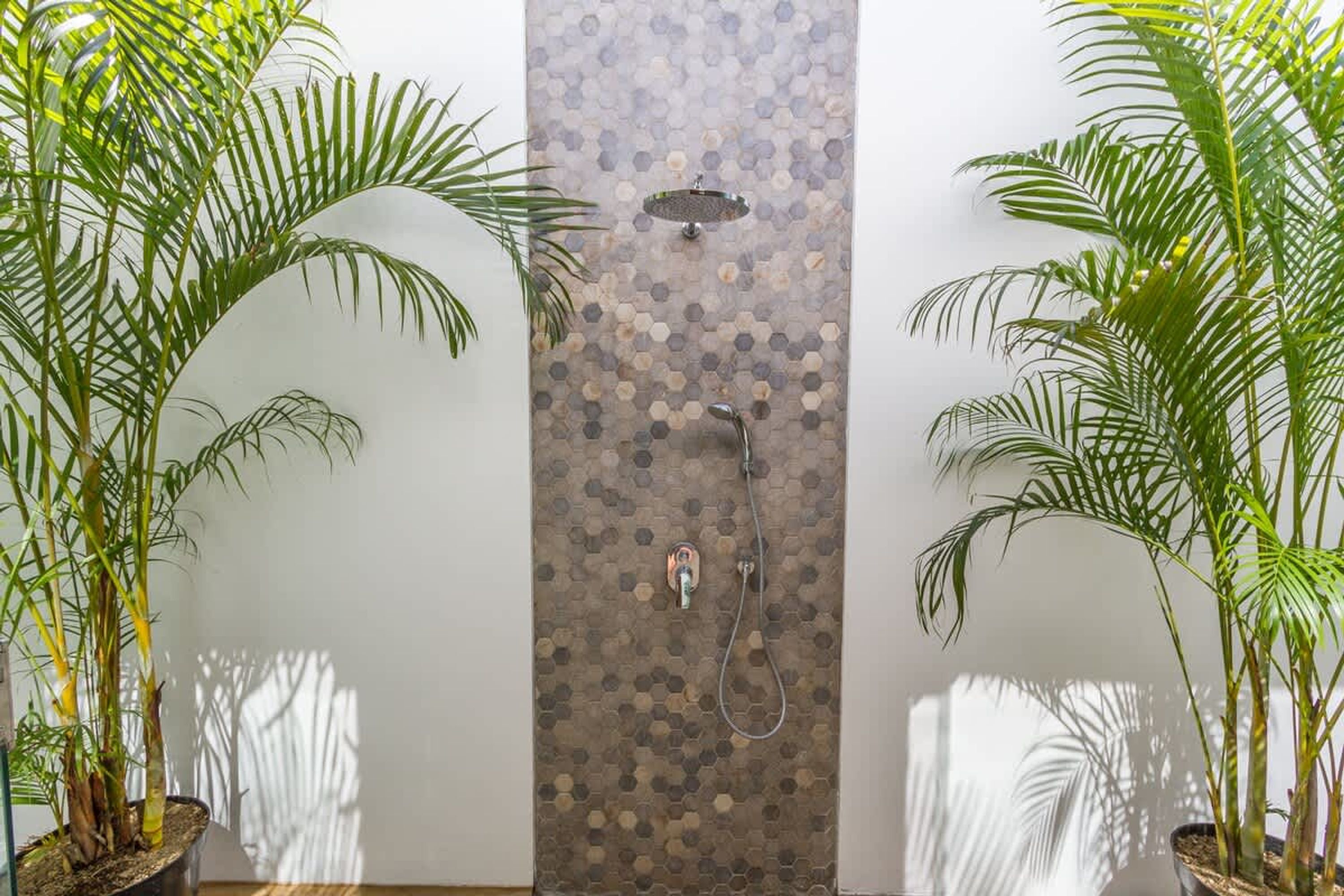 A shower area with a tiled wall, a handheld showerhead, and potted plants.