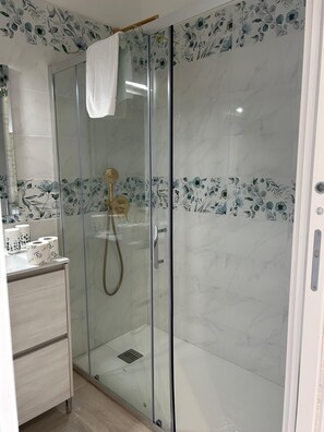 Shower, hair dryer, bidet, towels