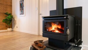 A modern fireplace with a glass door, a potted plant, and a wooden floor.