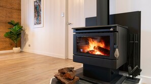 A modern fireplace with a glass door, a potted plant, and a wooden floor.