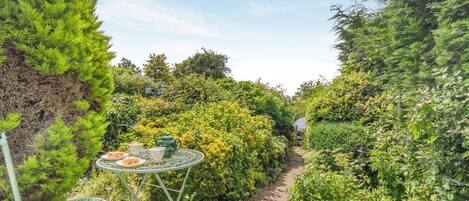A garden pathway with a metal table and chairs, surrounded by dense foliage and a greenhouse in the distance.