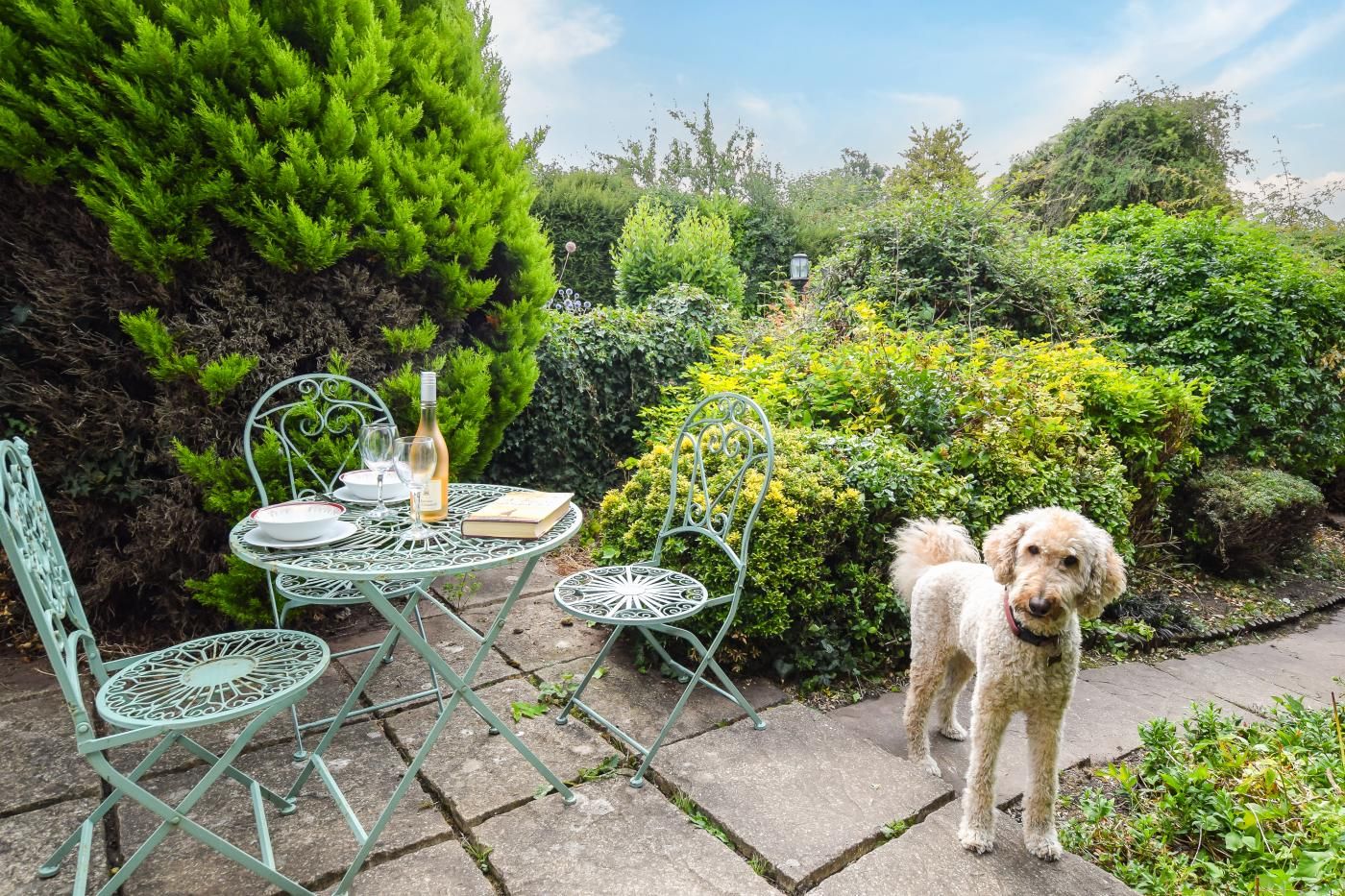 Um pátio de jardim com mesa posta para dois, rodeado por vegetação e um cão.