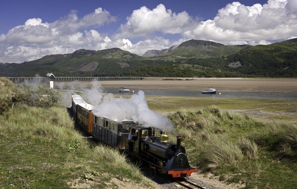 Eine Dampflokomotive auf Gleisen mit einer Brücke und Booten im Hintergrund.
