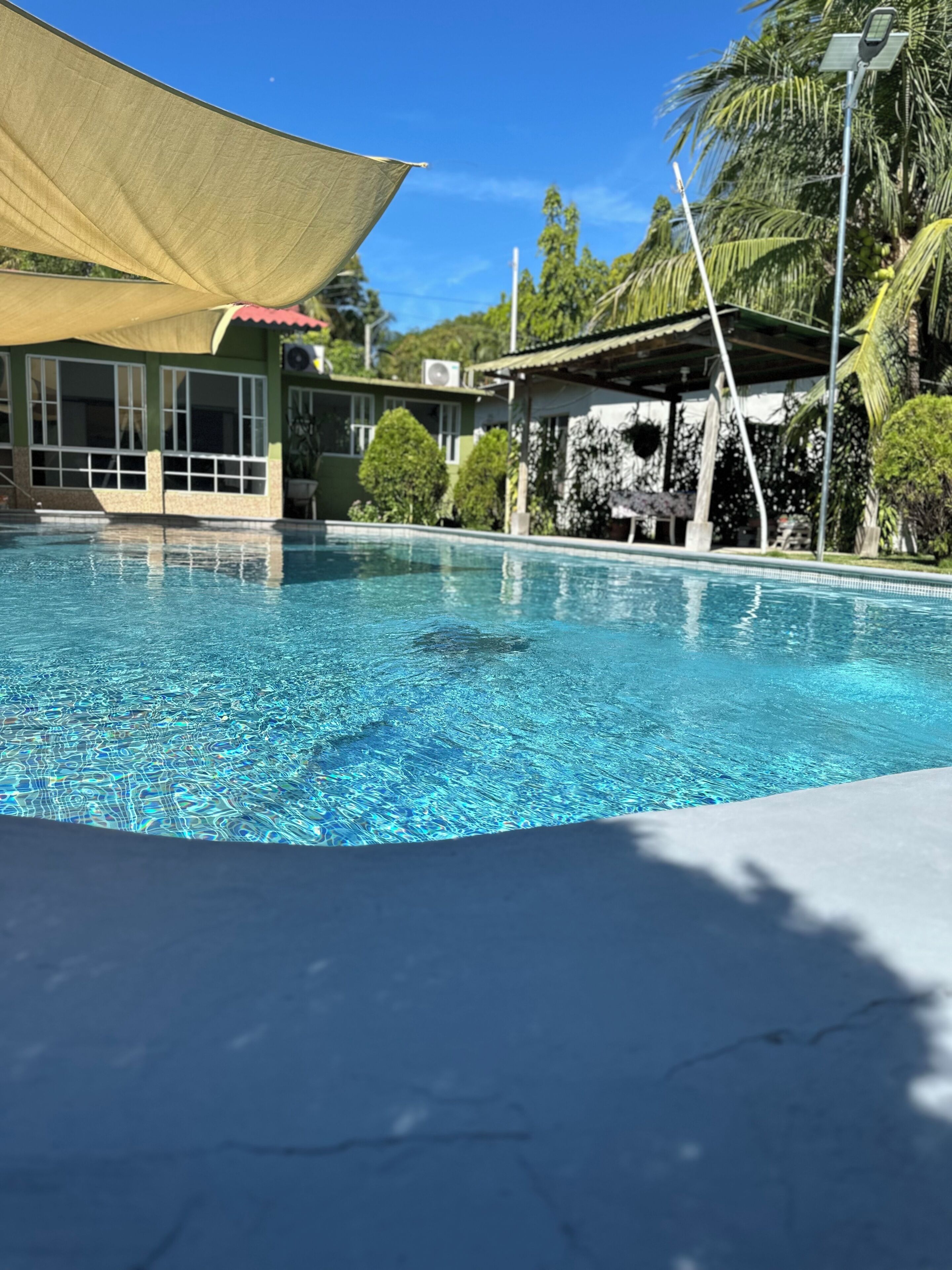 A clear swimming pool with a shaded area, surrounded by buildings and greenery.