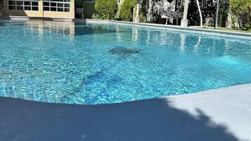 A clear swimming pool with a shaded area, surrounded by buildings and greenery.